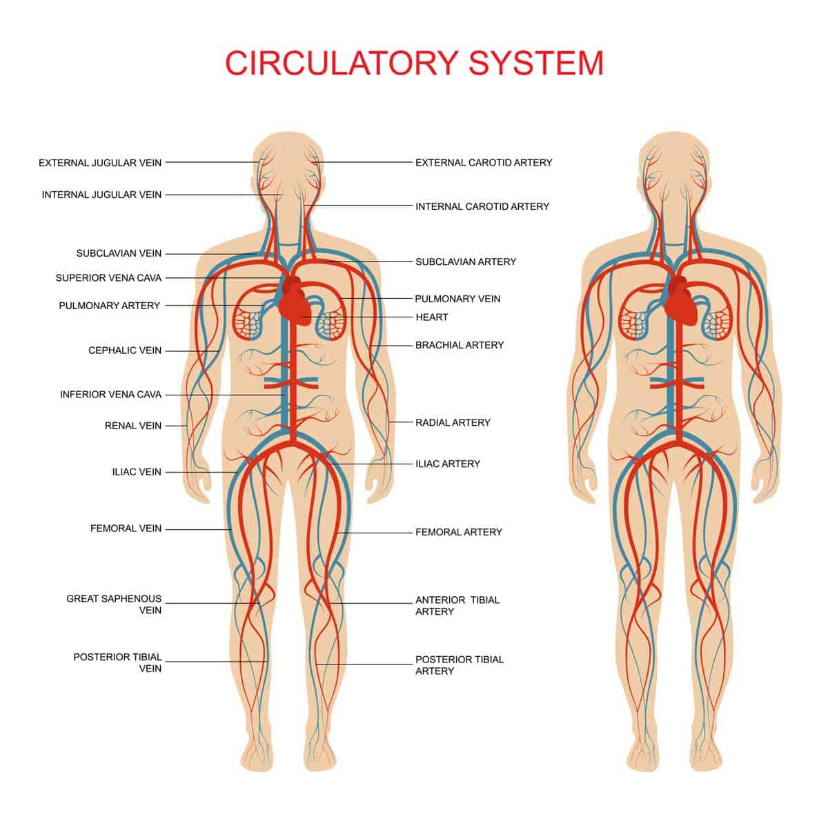 how-to-improve-poor-circulation-and-get-better-sleep